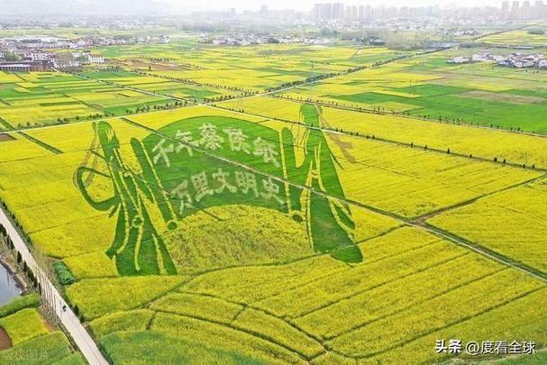 专家:陕西省汉中市洋县每年或现多个感染高峰/陕西省汉中市洋县华阳镇现在基本情况