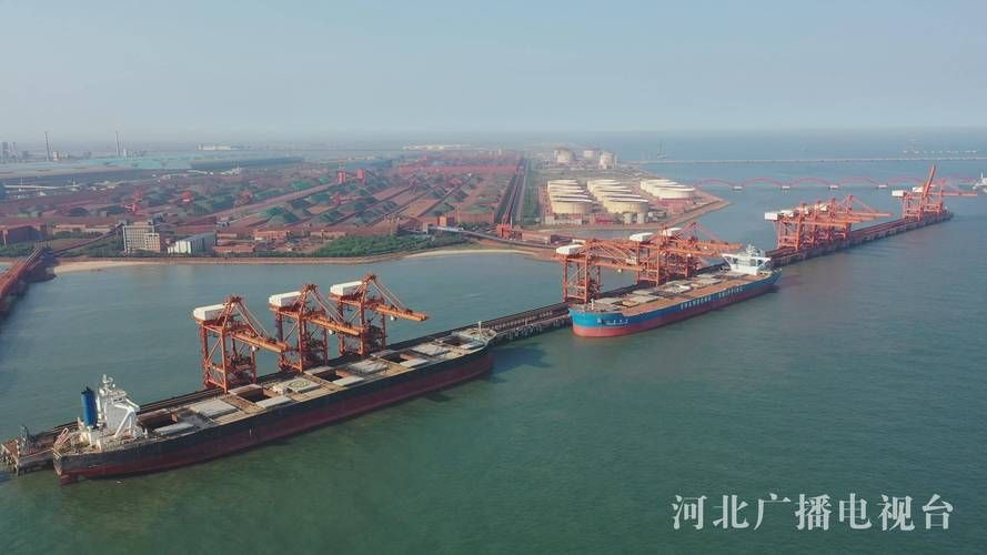 河北唐山海港经济开发区新增境外输入28例，均在石家庄市/河北唐山海港开发区属于什么区