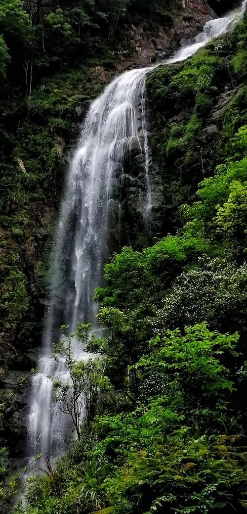  湖南怀化中方县近6天新增26例本土确诊:怀化中方县黄溪最新消息