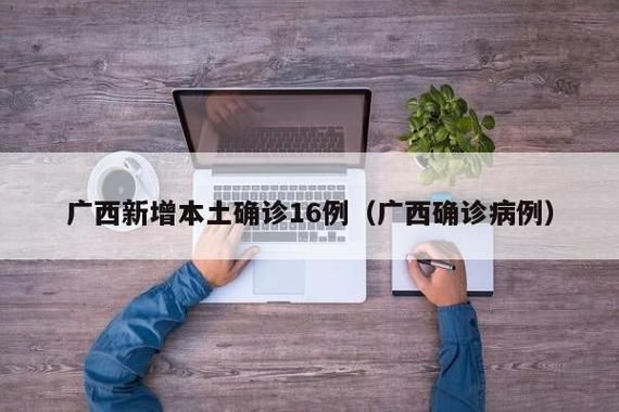 2地新增确诊25例含本土16例/2地新增确诊25例含本土16例吗