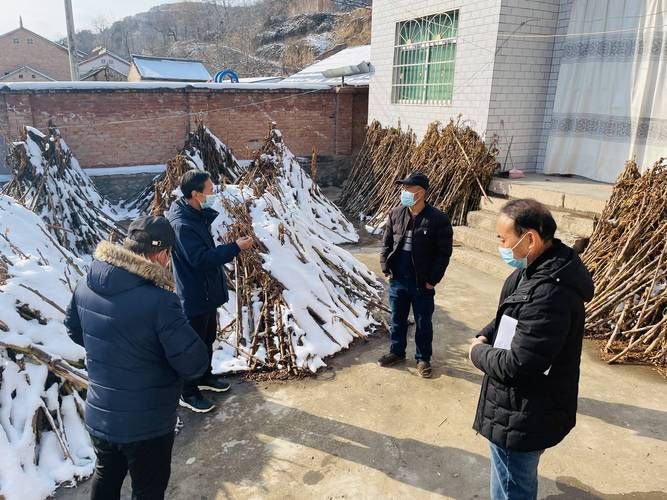 陇县哪里地区有疫情了呢_陇县哪里地区有疫情了呢今天