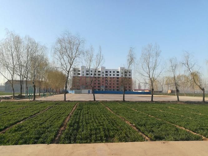 河北省邯郸市魏县发现1名密接者!_河北省邯郸市魏县网