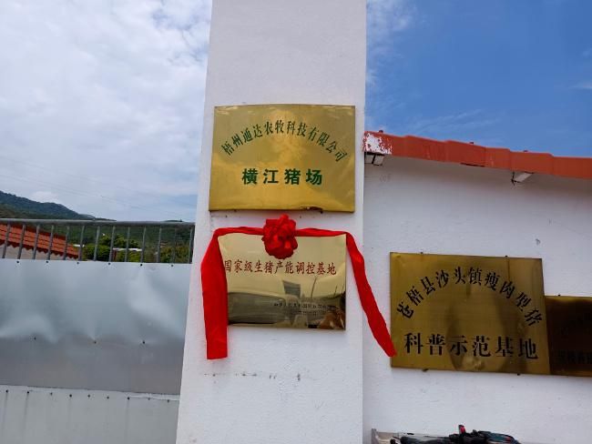 疫情公告广西壮族自治区梧州市苍梧县最新_广西壮族自治区梧州市苍梧县天气