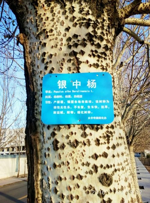 最新疫情情况通报太仆寺旗/太仆寺旗今天天气详情