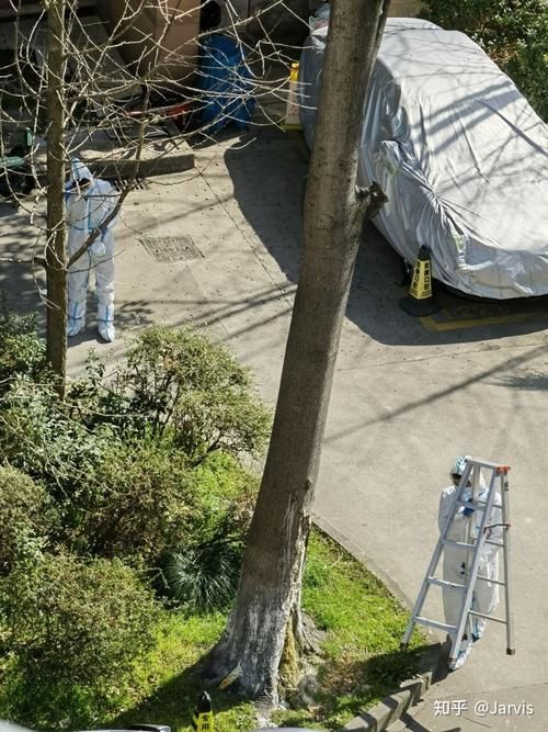 多地新增无症状感染者3例均在岐山县的简单介绍