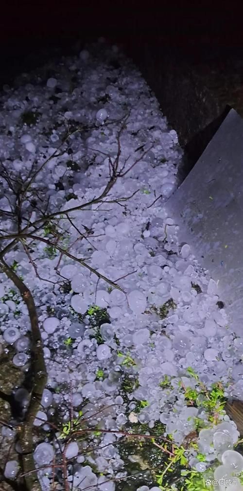 最新疫情桦南县/桦南县最新天气