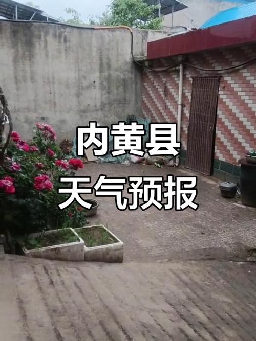 【河南安阳内黄县近期最新消息疫情,河南安阳内黄县暴雨预警】