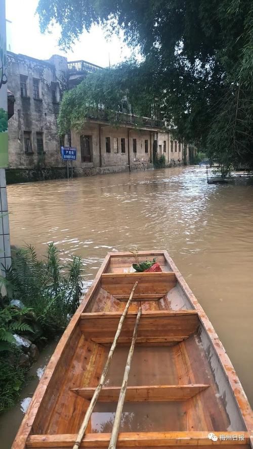  发现广东梅州1名密接者!:广东籍高官 梅州 9人 汕尾市