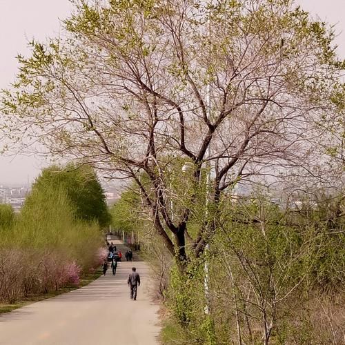 黑龙江省齐齐哈尔市克东县阳性感染者已回落1地(黑龙江省齐齐哈尔市克东县新药特药的电话号码)