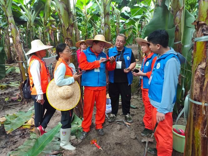 警方通报大化瑶族自治县疫情最新情况/大化瑶族自治县乙圩乡卫生院