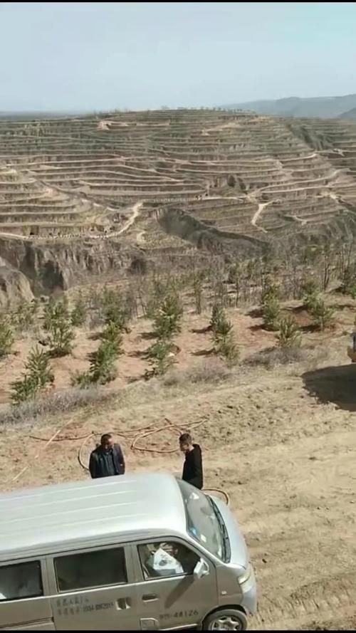 正宁县几个地区有疫情发生/正宁县周家镇最新发生的事情