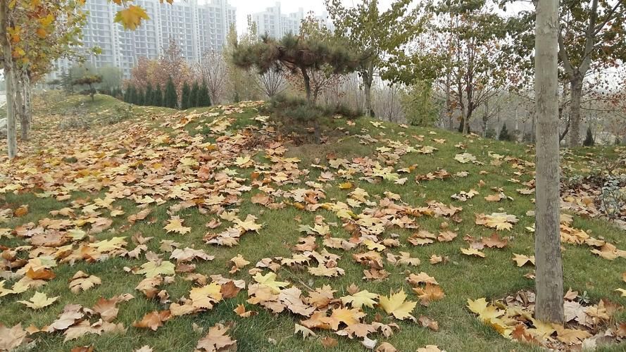河北省邢台市临城县1月23日新增感染趋势结束/河北省邢台市临城县近期天气预报