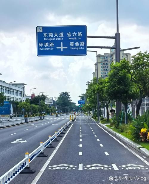 广东东莞莞城街道最新疫情关注_广东东莞市莞城街道新什么路