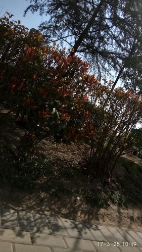 陕西省西安市莲湖区8月27日最新消息疫情/陕西省西安市莲湖区人民武装部