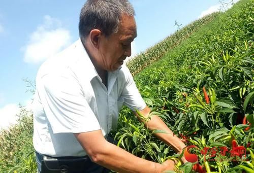 【最新疫情甘肃省陇南市徽县_甘肃陇南市徽县各局局长副局长最新信息2026年9月】