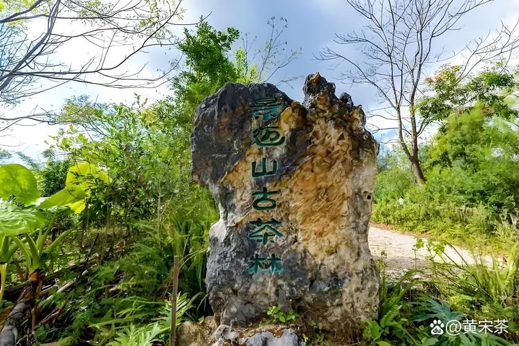 【云南省普洱市澜沧拉祜族自治县疫情最新消息_云南省普洱市澜沧拉祜族自治县文化和旅游局局长王倩】
