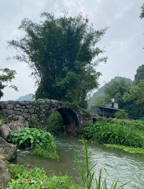 【广西壮族自治区崇左天等县封城区无症状感染者详情,广西壮族自治区崇左市天等县邻近哪里】
