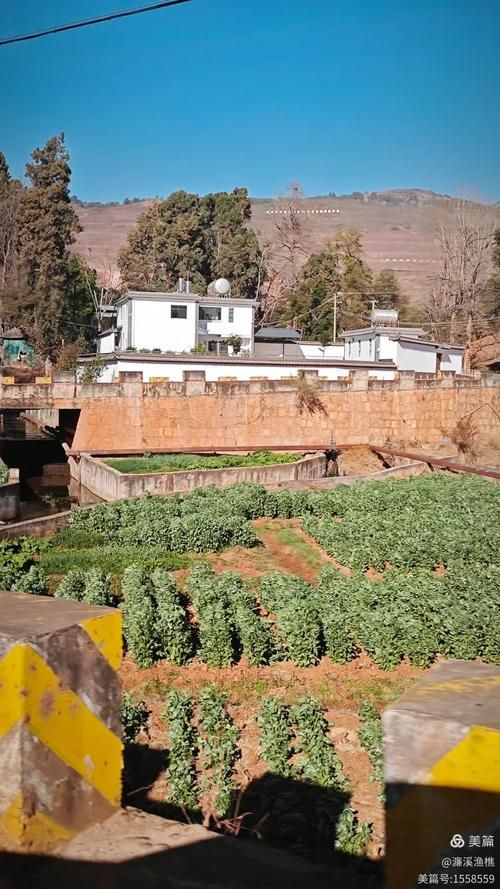 云南省大理白族自治州鹤庆县疫情今冬消息最新_云南省大理白族自治州鹤庆县辛屯镇