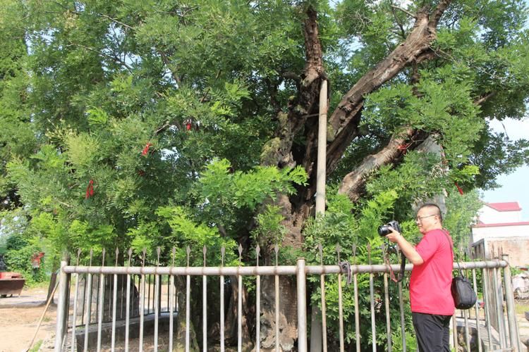 郯城县发现1名密接者!/郯城县最新盗窃工地案件