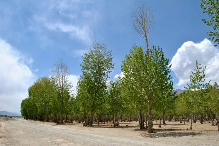 【西藏自治区拉萨市达孜工业园区新增疫情关注_西藏自治区达孜区疾控中心耗材采购】