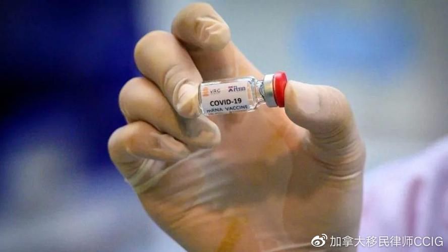 31个省份新增无症状感染者15例湖北十堰竹山县1例(湖北十堰竹山县未来15天天气)