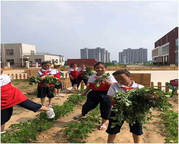 河南省濮阳市濮阳经济技术开发区近4天阳性感染者活动轨迹/河南省濮阳范县一周天气预报