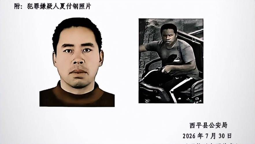 【西平县疫情最新消疫情况,西平县最新命案】
