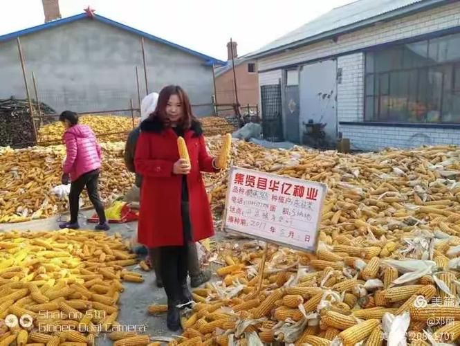 黑龙江双鸭山集贤县疫情防控中风险地区/黑龙江双鸭山集贤县今天天气怎么样