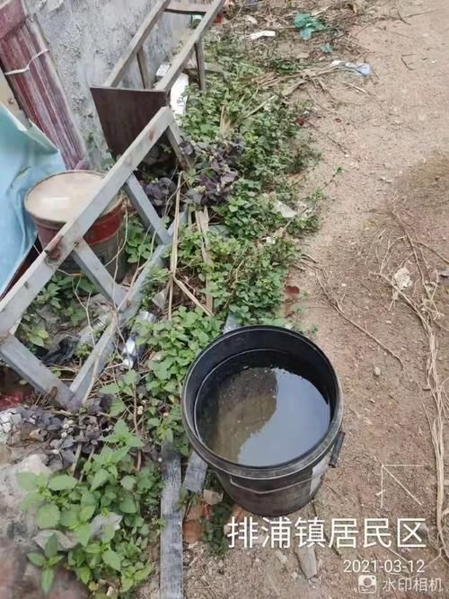 排浦镇昨日本土确诊疫情趋势/排浦镇和重庆今天天气对比