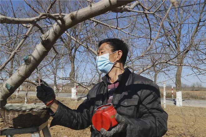 黄陵县最新疫情关注:黄陵县最近抓人名单