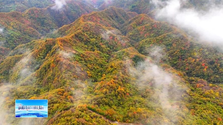 疫情视频最新陕西商洛(陕西商洛最新闻联播视频)