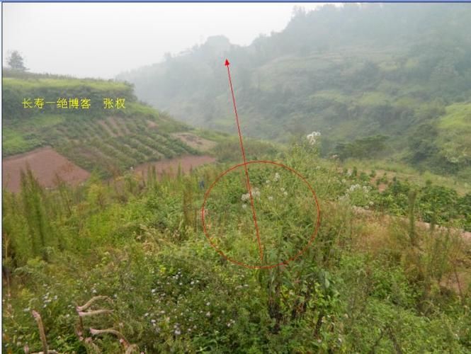 邻水县哪里地区有疫情了呢/邻水县有丧葬补贴吗现在