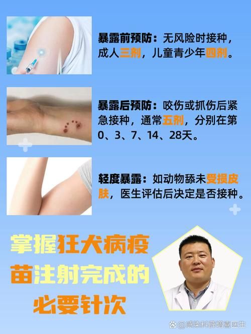  沙坪坝区几个地区有疫情发生:沙坪坝区狂犬疫苗接种点