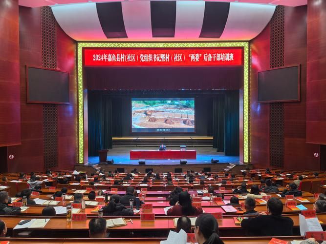 疫情最新报告嘉鱼县新闻:嘉鱼县新闻2024年11月5日